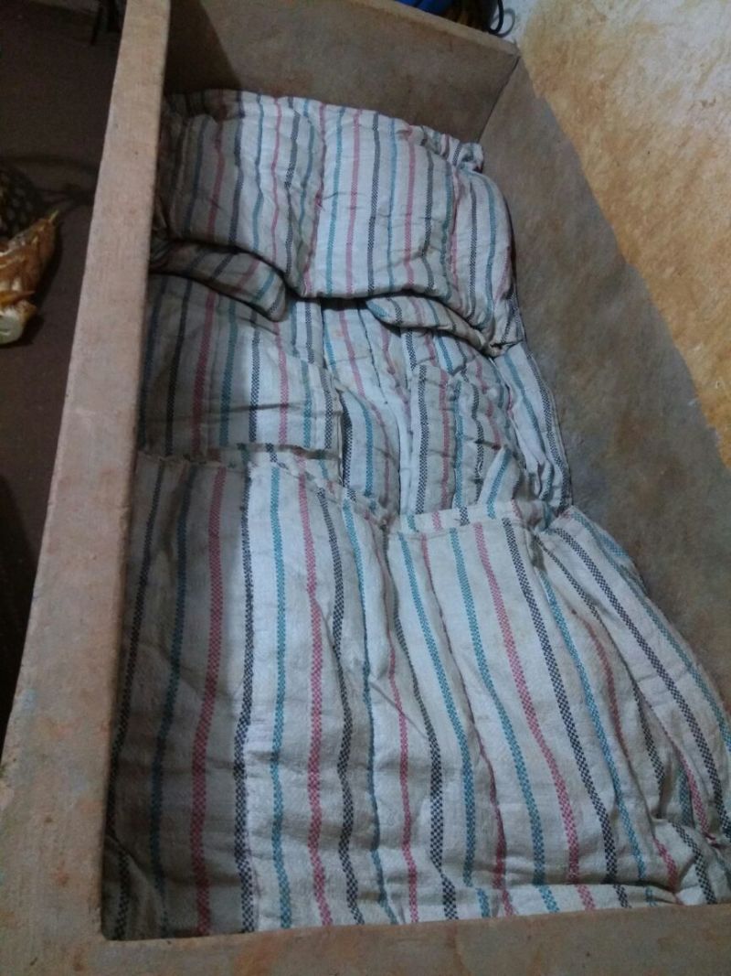 毛竹春笋30cm以上