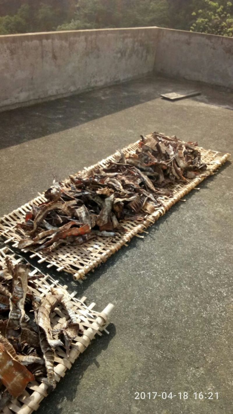 烟笋