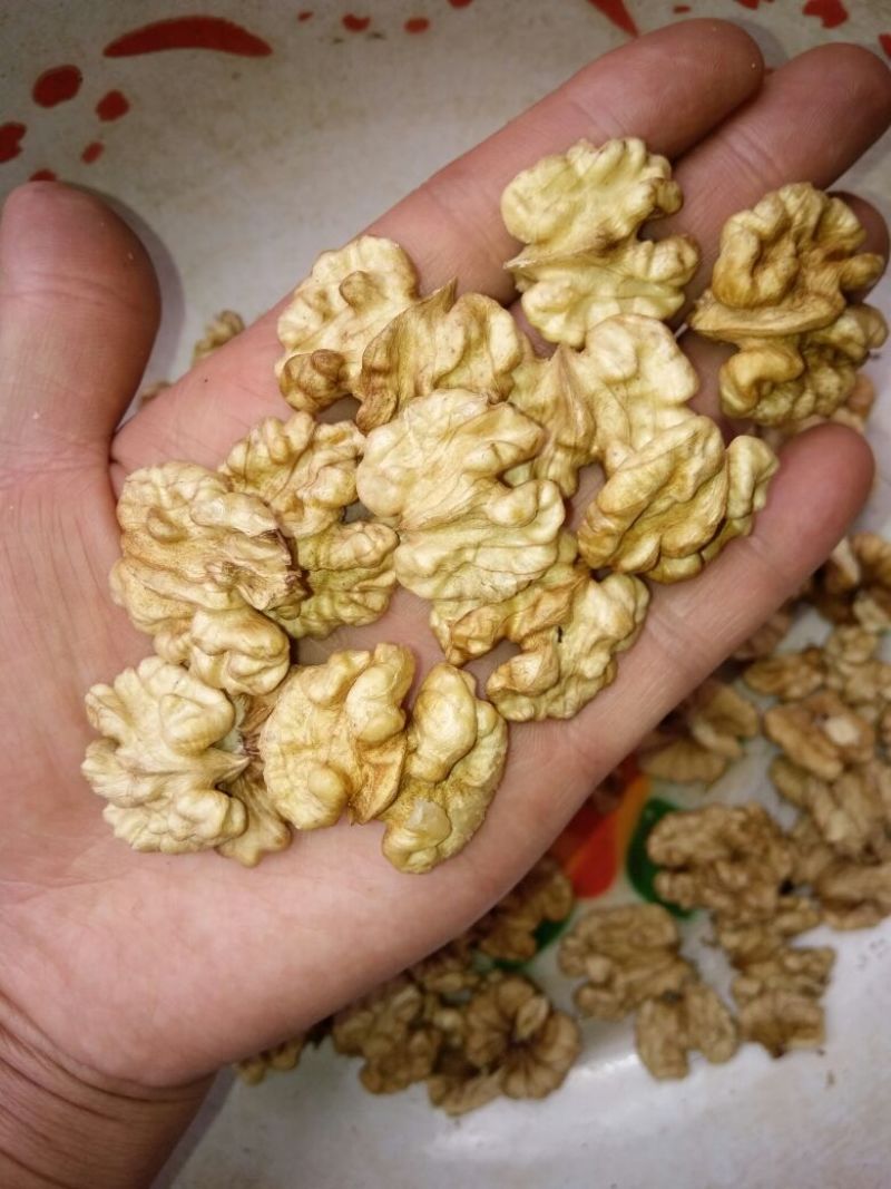 大泡核桃去皮干