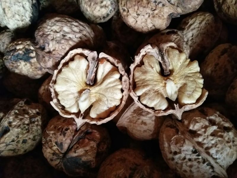 大泡核桃去皮干
