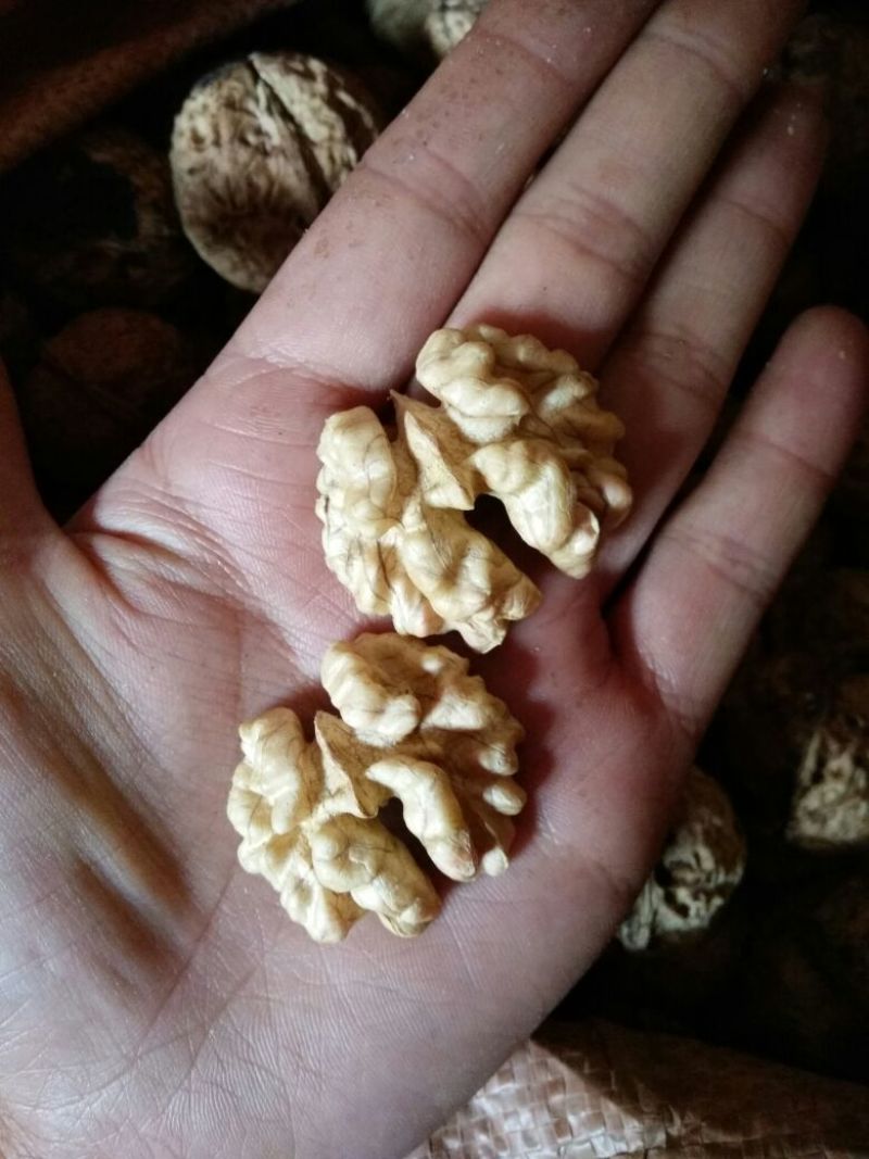 大泡核桃去皮干