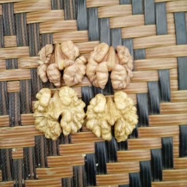 大泡核桃去皮干