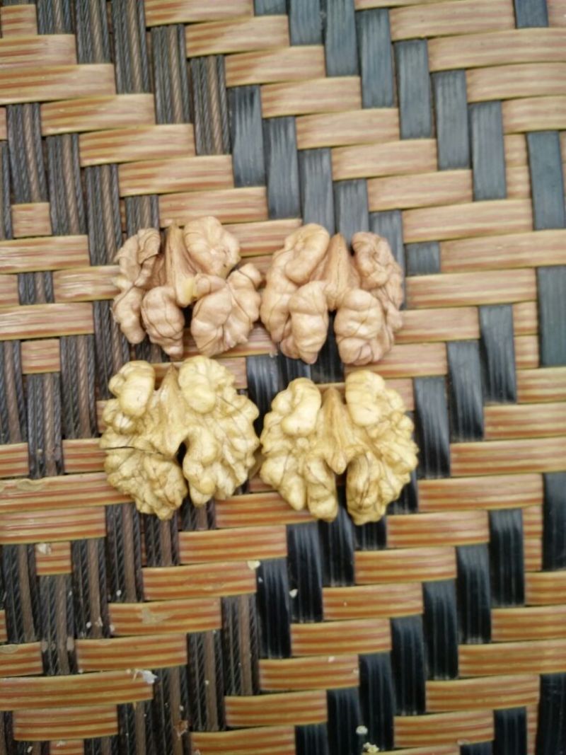 大泡核桃去皮干