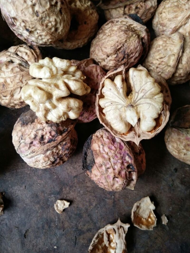 大泡核桃去皮干