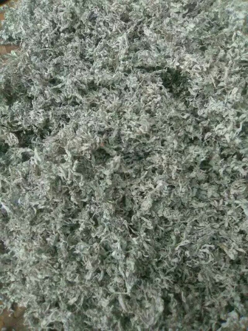 藤茶特级