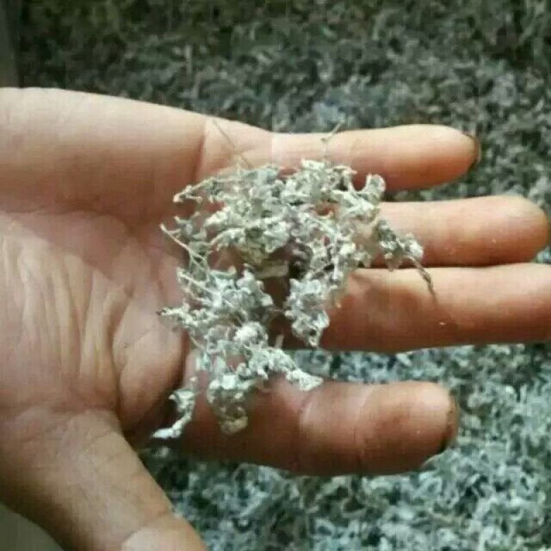 藤茶特级