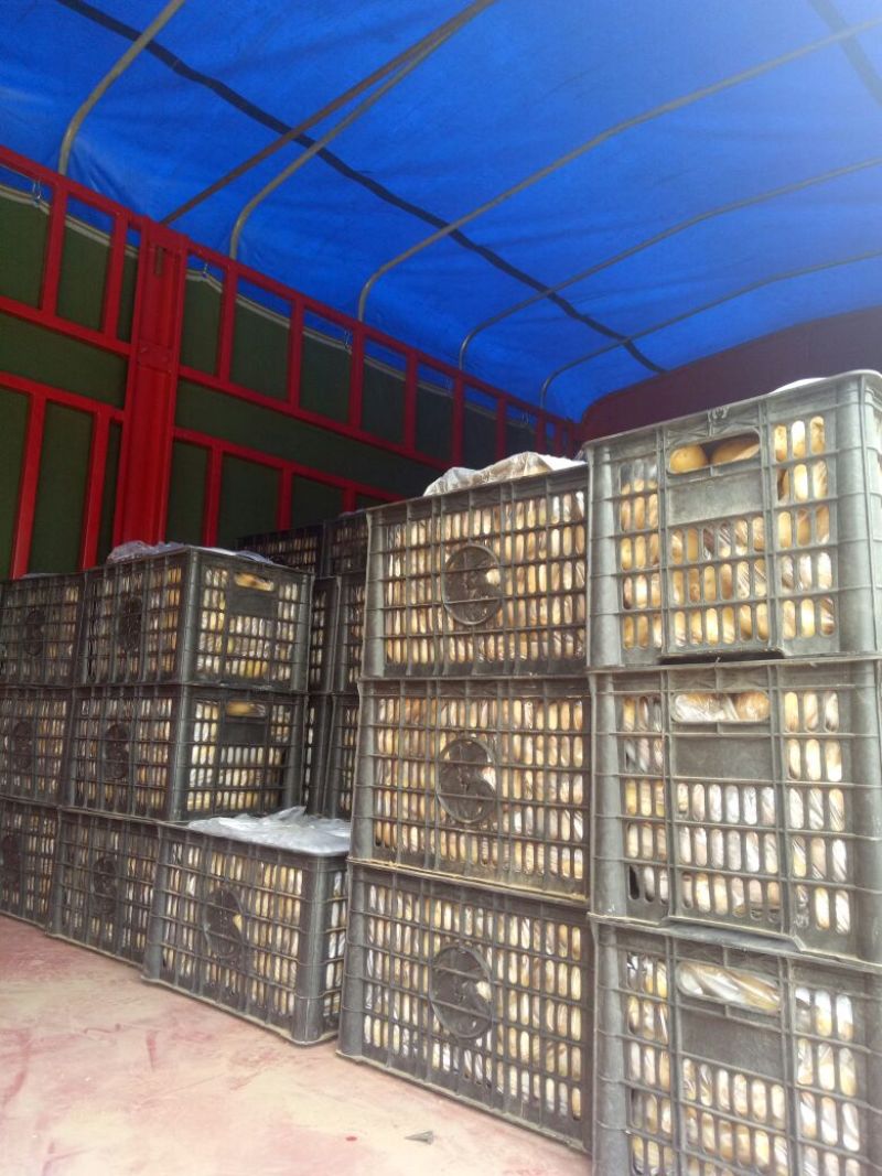 兰陵精品荷兰十五土豆大量上市都是黄心黄皮