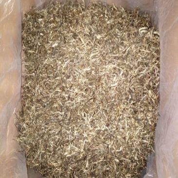 百年大树茶一级