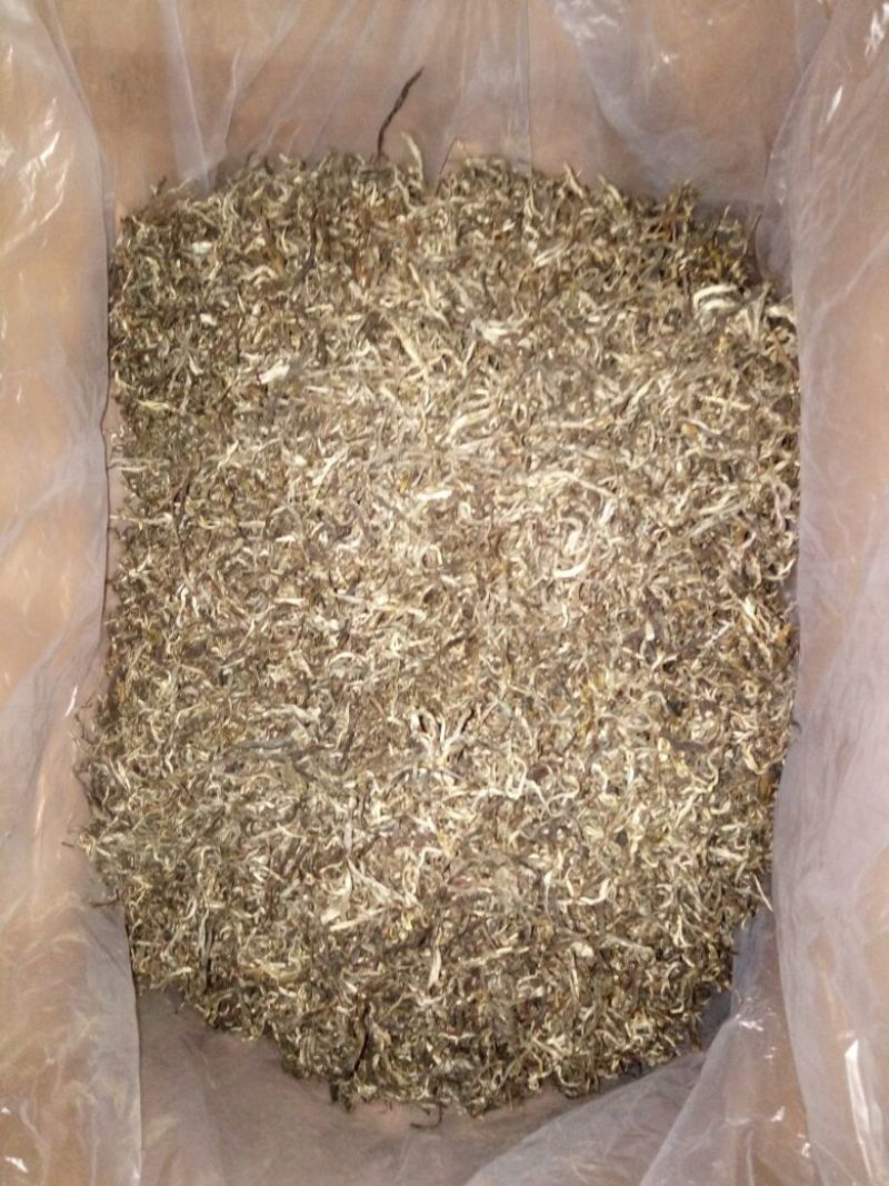 百年大树茶一级