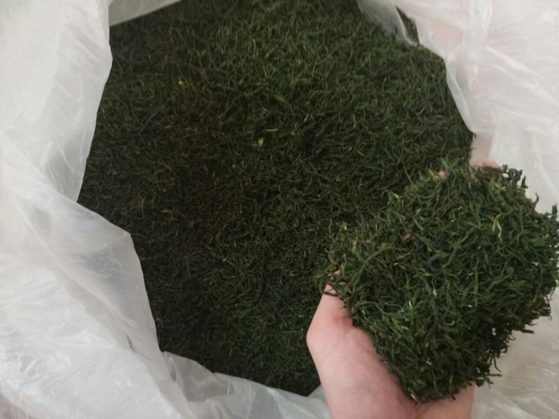 老树茶特级