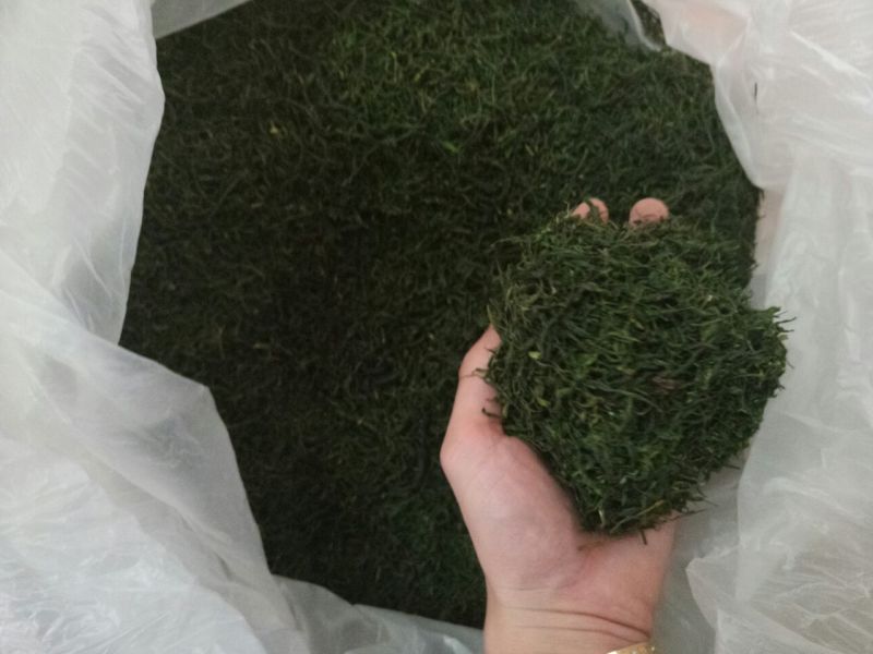 老树茶特级