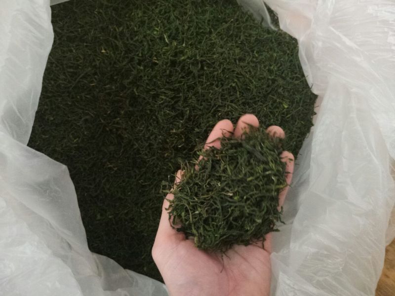 老树茶特级