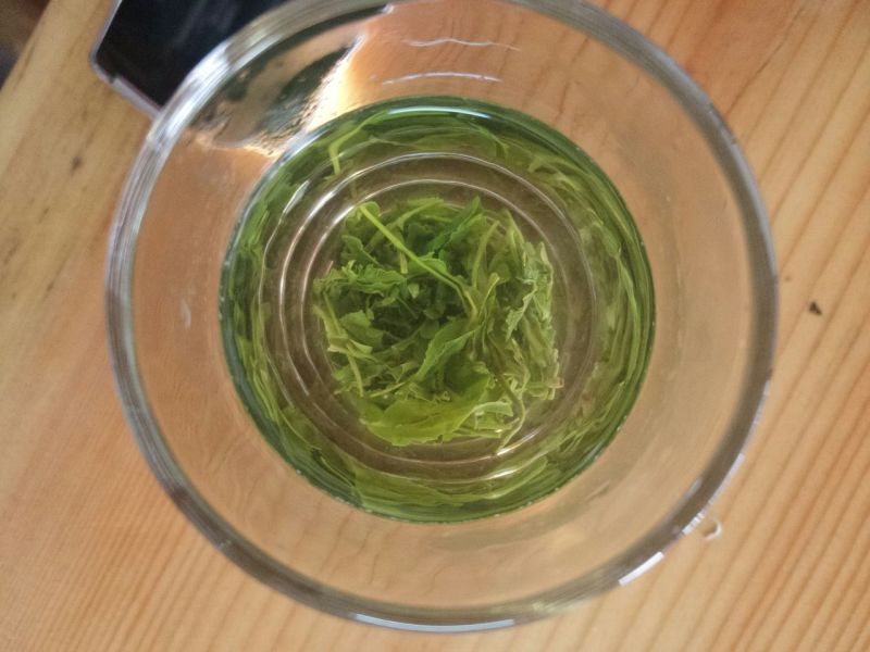 老树茶特级