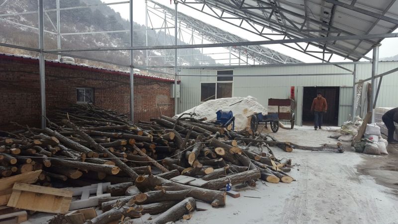 干木耳特级
