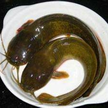 胡子鲶食用