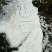 雪参，金佛山雪参是高海拨地区生长