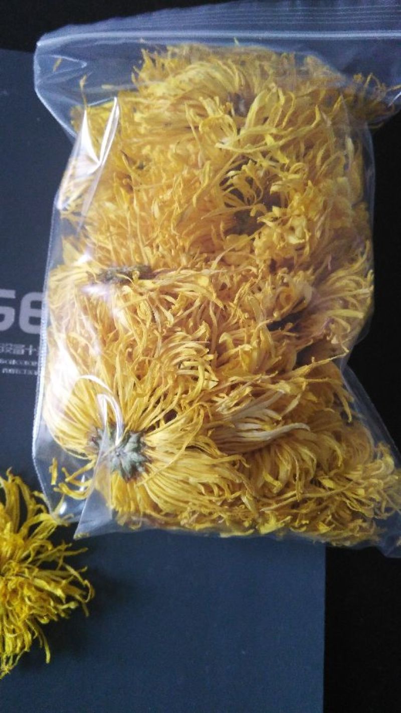 菊花苗到了最佳种植的季节了，品种多多，产量高，欢迎下单