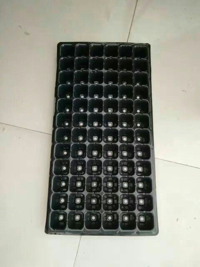 穴盘72孔