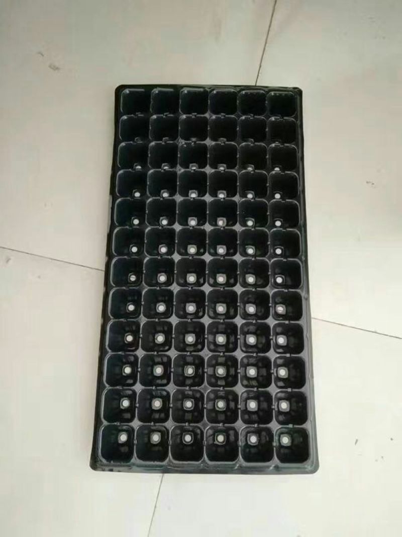 穴盘72孔