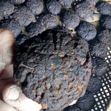 豆豉