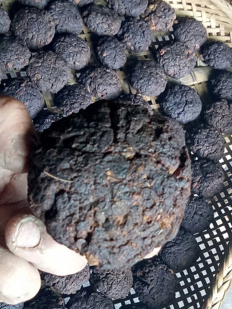 豆豉