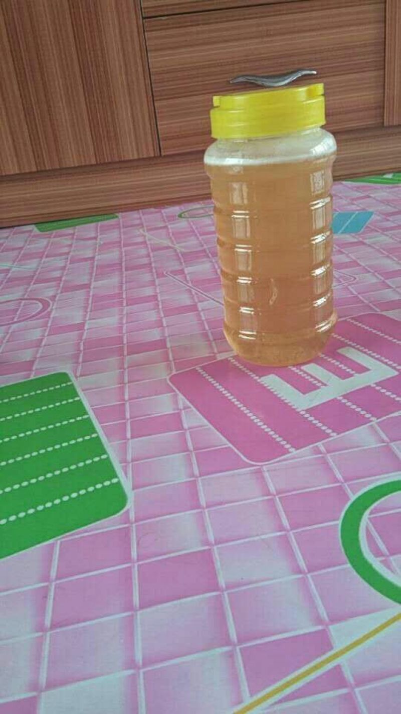 椴树蜜5斤
