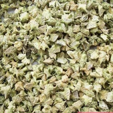 蒺藜白蒺藜炒蒺藜内蒙1公斤起批无硫***不包邮