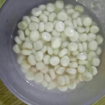 荸荠大号，中号，肉质量白嫩。