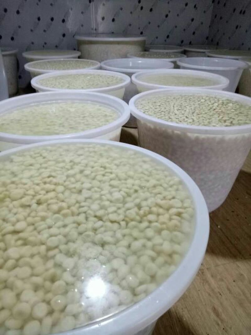 荸荠大号，中号，肉质量白嫩。