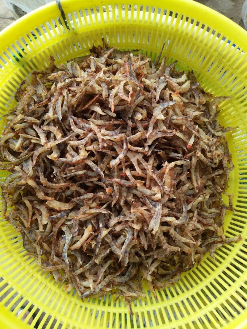 干虾