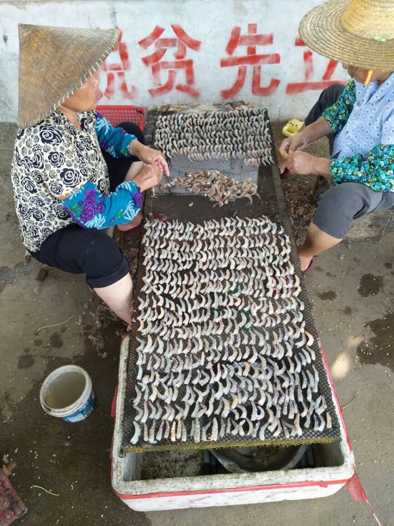 干虾