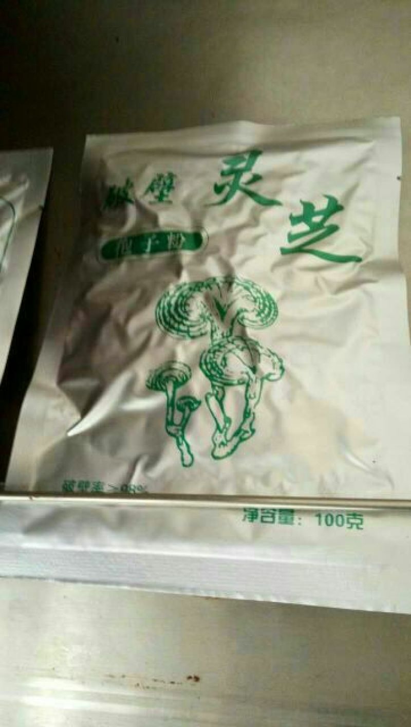 灵芝12~15公分