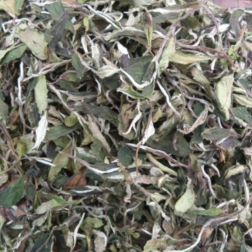 福鼎白茶四级