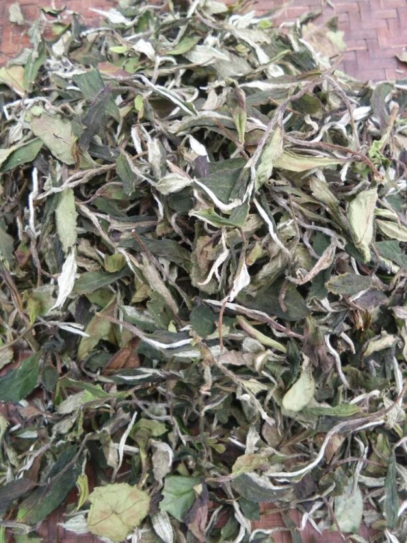 福鼎白茶四级