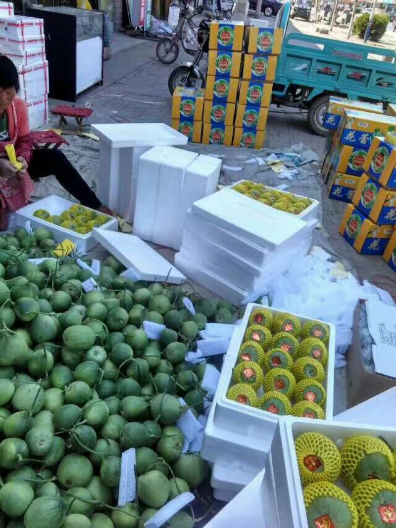 香瓜，东方蜜一号甜瓜，红金蜜，2斤以上