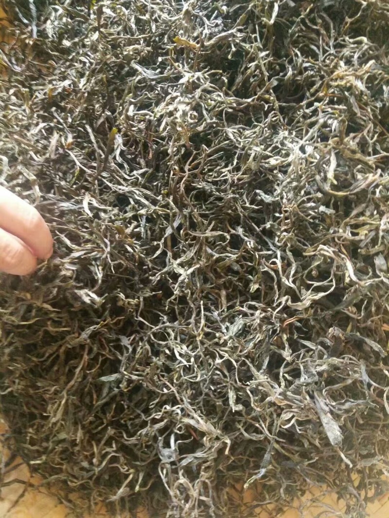 老树茶一级