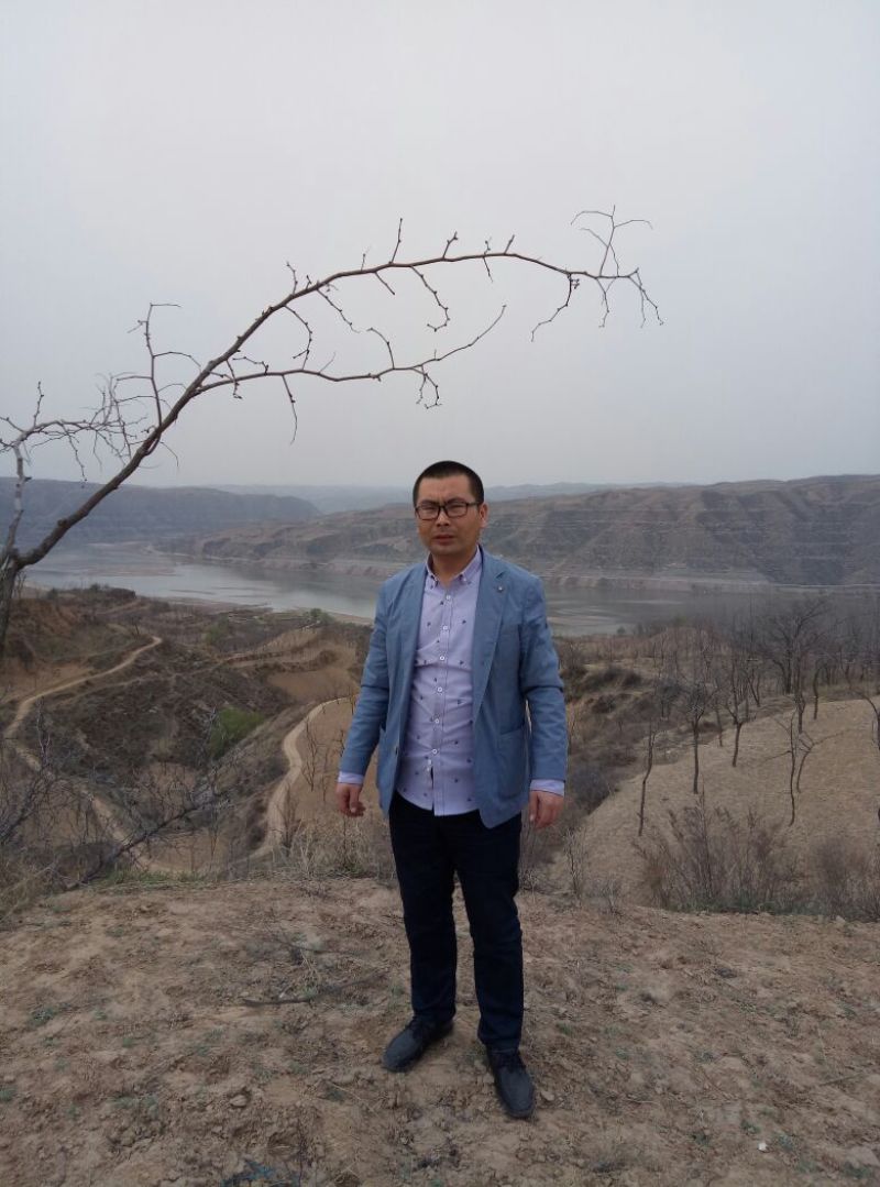 乌枣特级干枣山西乐市