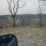 乌枣特级干枣山西乐市