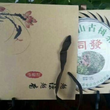 古树普洱茶一级