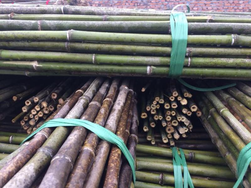 【有优惠】大量批发菜架竹植树杆旗杆一手货源质量好价格便宜