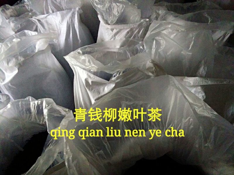 青钱柳茶一级