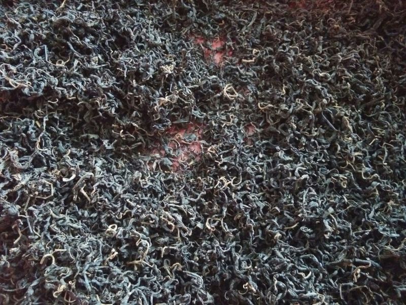 青钱柳茶一级