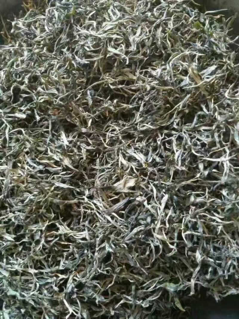 古树茶一级