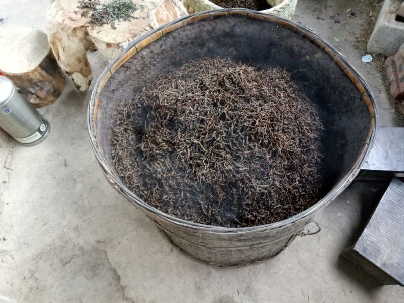 古树普洱茶一级