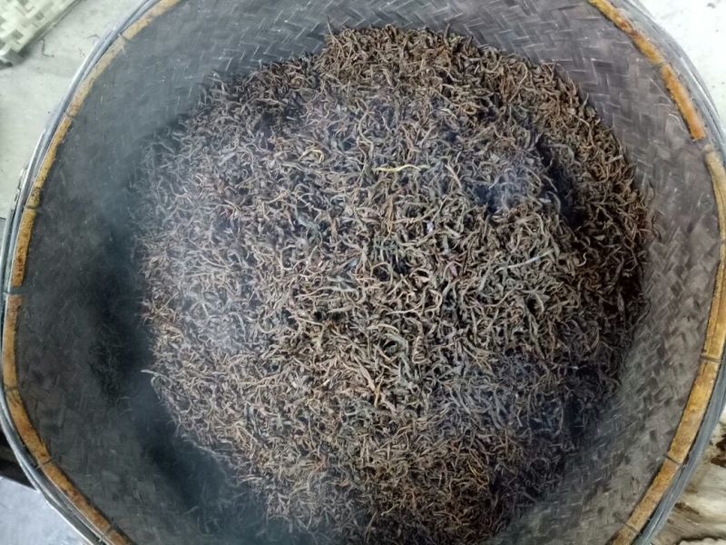 古树普洱茶一级