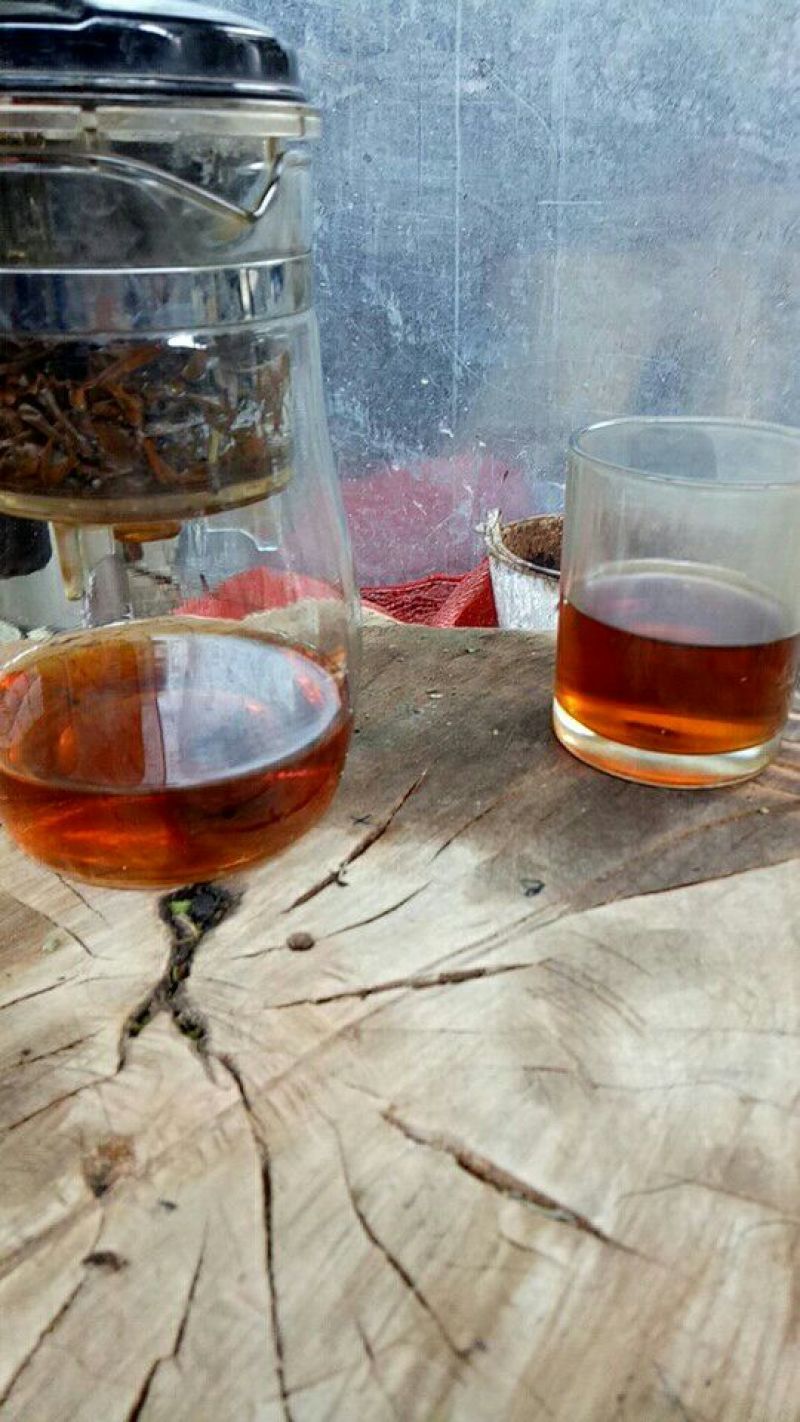 古树普洱茶一级