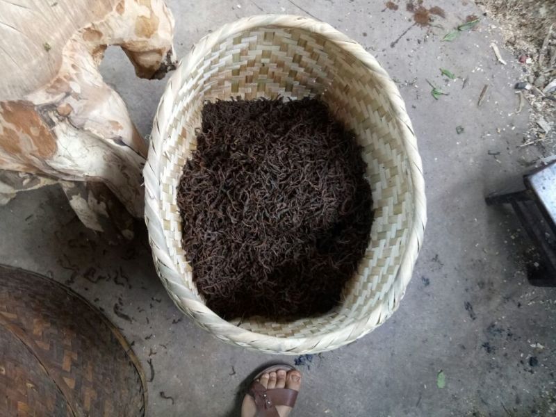 古树普洱茶一级