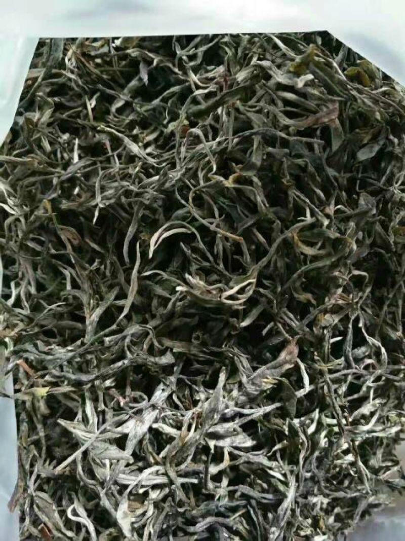 古树普洱茶三级