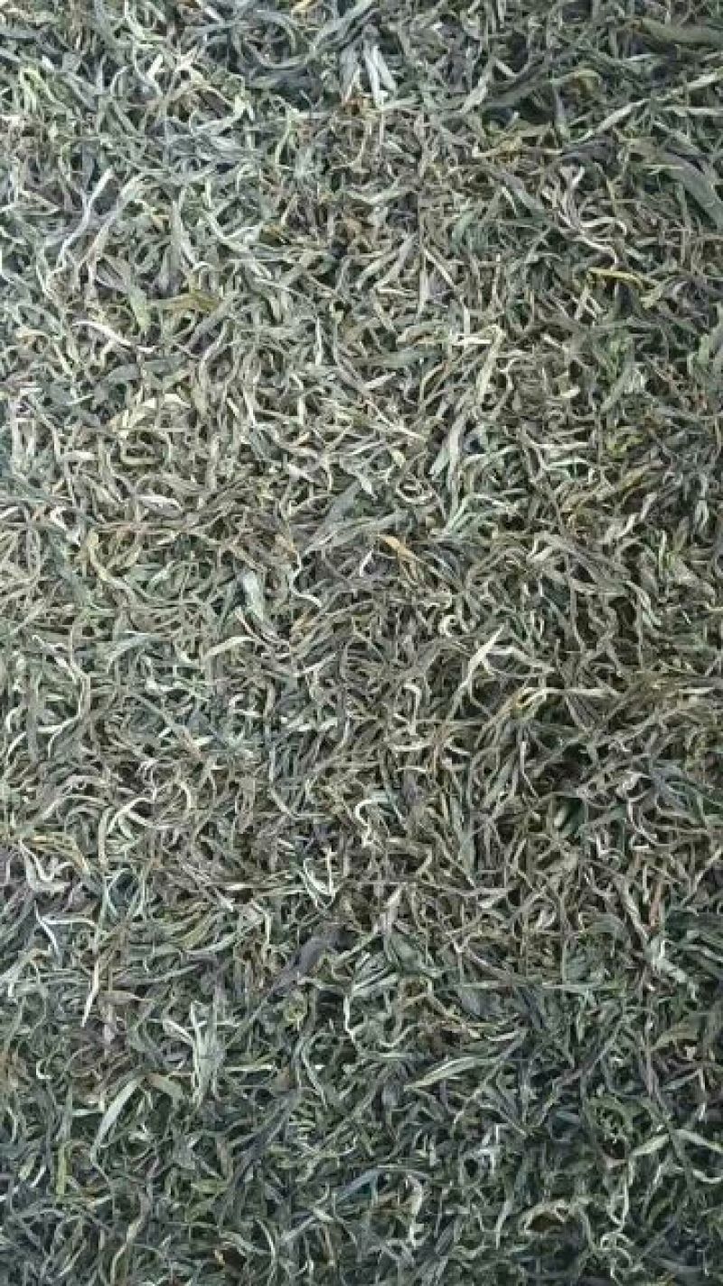 古树普洱茶三级