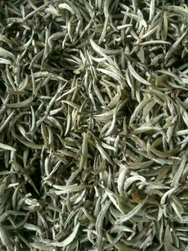 古树普洱茶三级